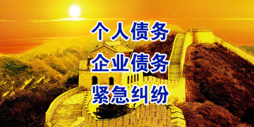 卢氏追债公司